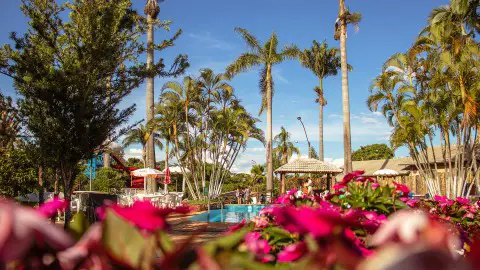 Caldas Park | Seu refugio em Caldas Novas