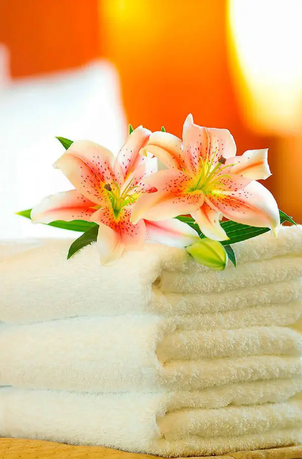 Imagem representativa: Durma com conforto e tranquilidade, aluguel de roupa de cama em Caldas Novas