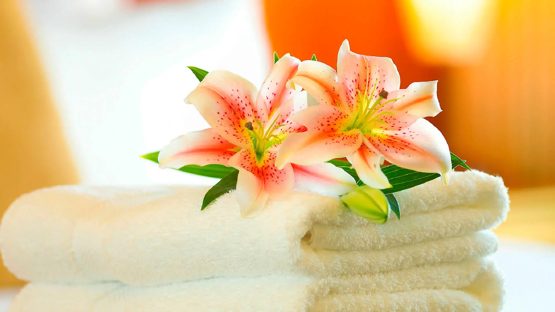 Suporte ao Turista em Caldas Novas Goiás