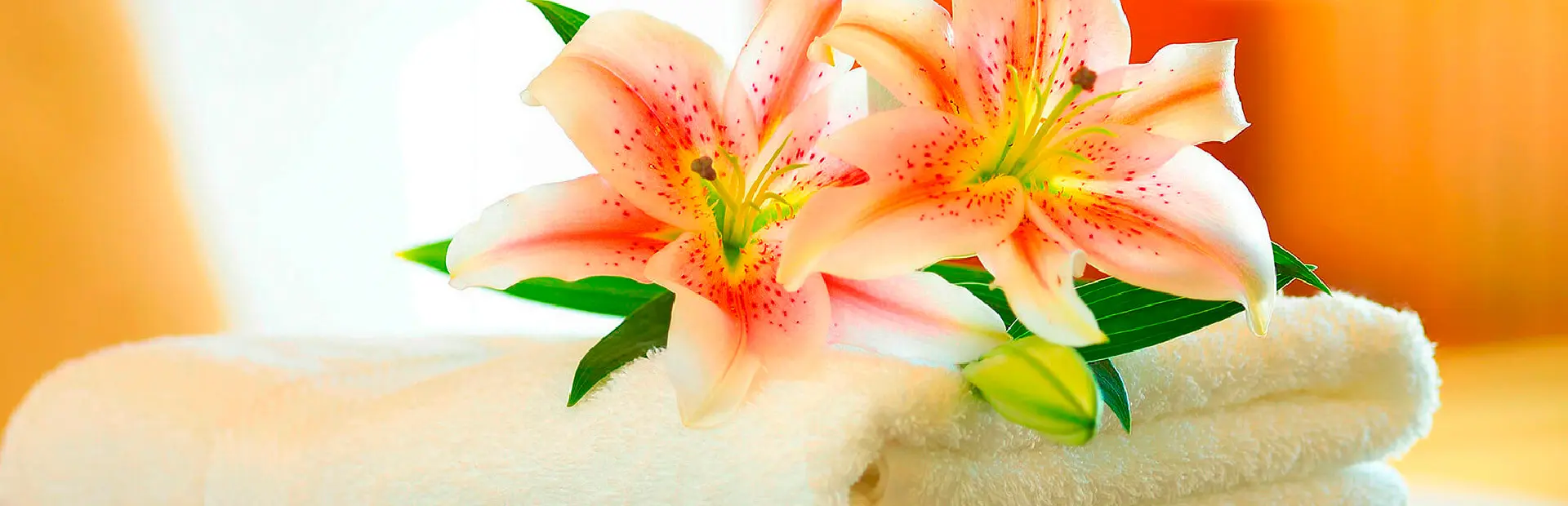 Aluguel de roupa de cama em Caldas Novas